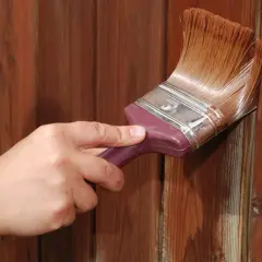 Mano aplica tinte para oscurecer madera barnizada sin lijar. El pincel deja un acabado rico y profundo.