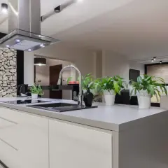 Cocinas modernas con una pared de piedra rústica, isla central con fregadero y plantas verdes.