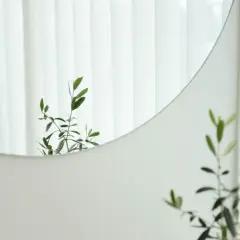 Rama de olivo reflejada en un espejo redondo, una idea simple de como decorar un espejo con elementos naturales.