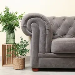 Sofá gris con tapizar de terciopelo, junto a plantas verdes y un jarrón.