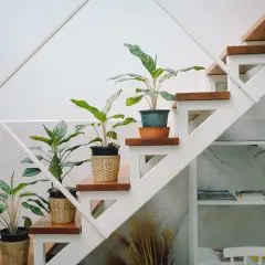 Plantas en macetas de mimbre decoran la subida de escalera interior, aportando vida y frescura.