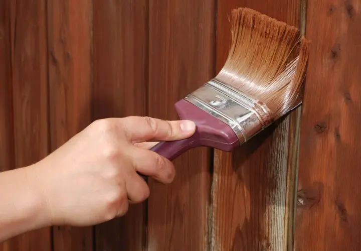 Mano aplica tinte para oscurecer madera barnizada sin lijar. El pincel deja un acabado rico y profundo.