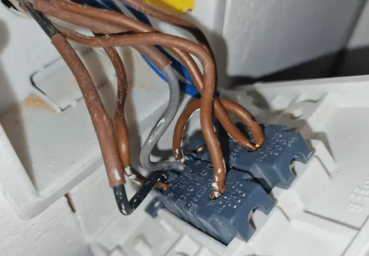 Cableado de un interruptor bipolar con cables marrones y grises conectados.
