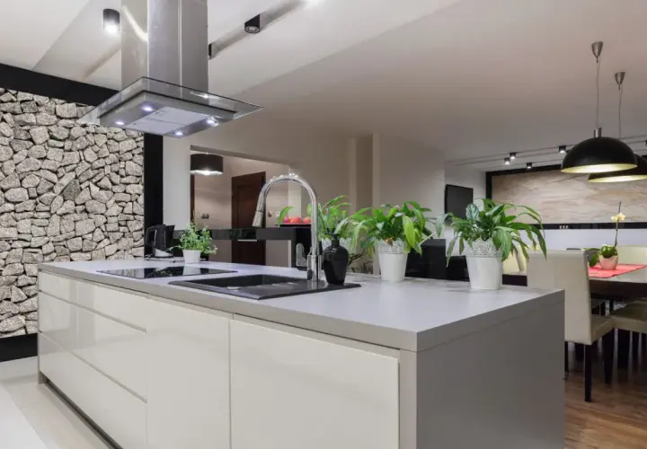 Cocinas modernas con una pared de piedra rústica, isla central con fregadero y plantas verdes.
