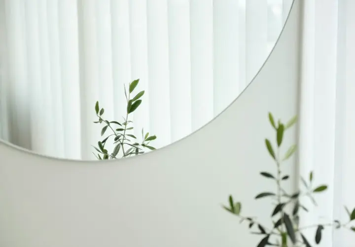 Rama de olivo reflejada en un espejo redondo, una idea simple de como decorar un espejo con elementos naturales.