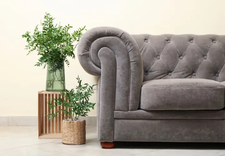 Sofá gris con tapizar de terciopelo, junto a plantas verdes y un jarrón.