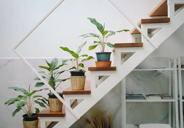 Plantas en macetas de mimbre decoran la subida de escalera interior, aportando vida y frescura.