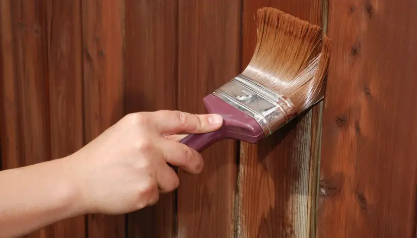 Mano aplica tinte para oscurecer madera barnizada sin lijar. El pincel deja un acabado rico y profundo.