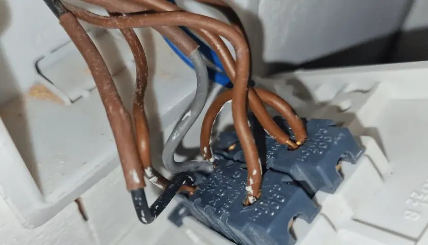 Cableado de un interruptor bipolar con cables marrones y grises conectados.