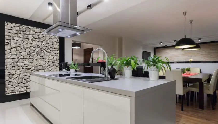 Cocinas modernas con una pared de piedra rústica, isla central con fregadero y plantas verdes.