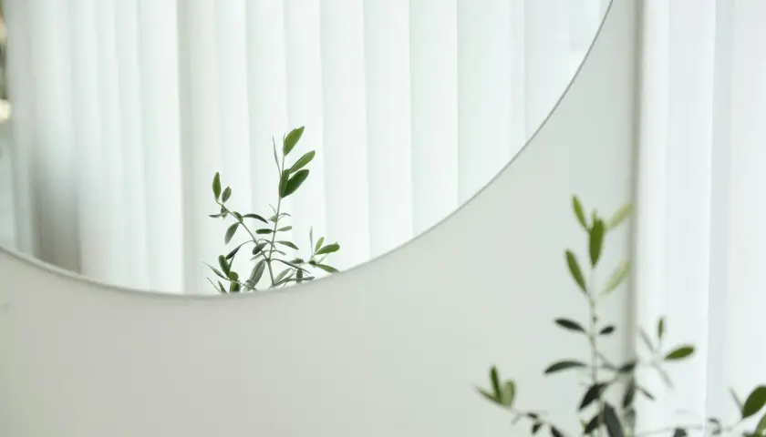 Rama de olivo reflejada en un espejo redondo, una idea simple de como decorar un espejo con elementos naturales.