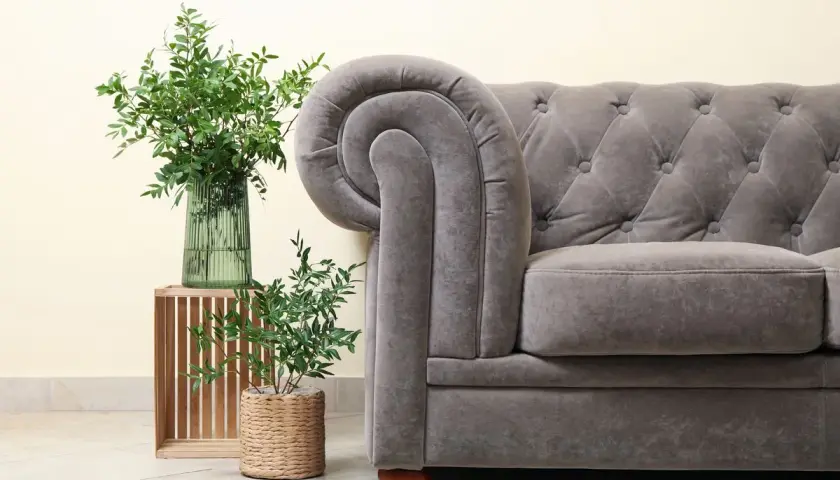Sofá gris con tapizar de terciopelo, junto a plantas verdes y un jarrón.