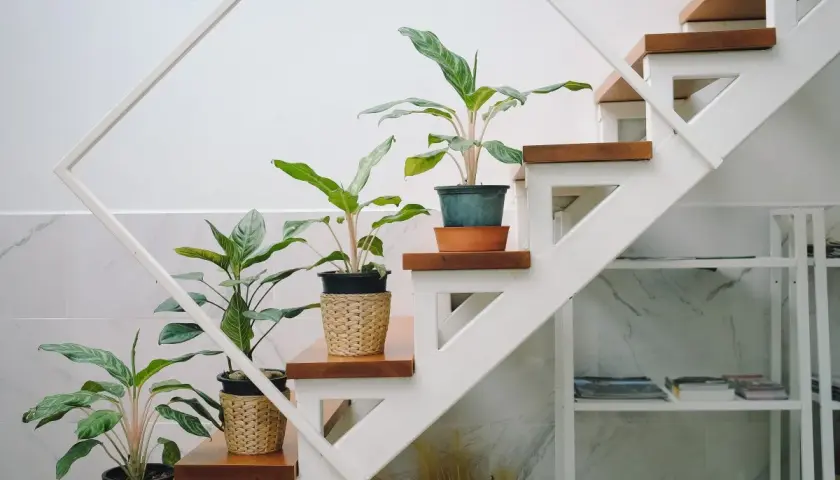 Plantas en macetas de mimbre decoran la subida de escalera interior, aportando vida y frescura.