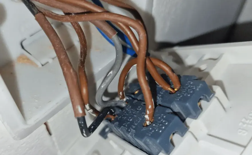 Cómo leer L1, P1, L2 y P2 en un interruptor bipolar