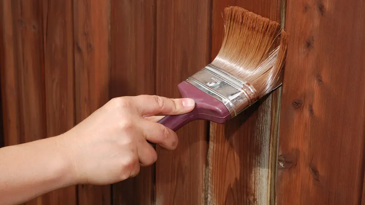 Mano aplica tinte para oscurecer madera barnizada sin lijar. El pincel deja un acabado rico y profundo.