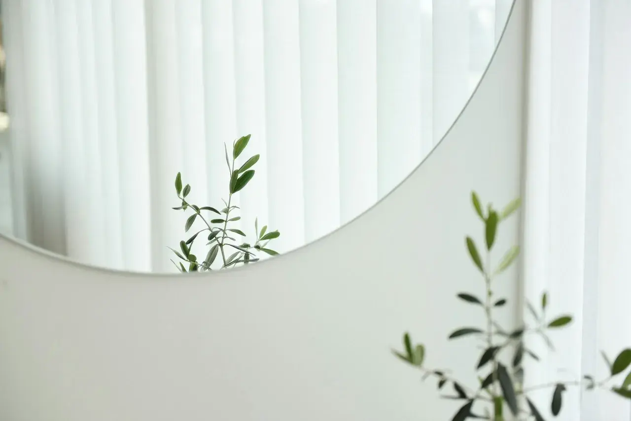 Rama de olivo reflejada en un espejo redondo, una idea simple de como decorar un espejo con elementos naturales.
