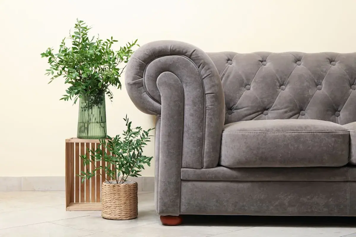 Sofá gris con tapizar de terciopelo, junto a plantas verdes y un jarrón.